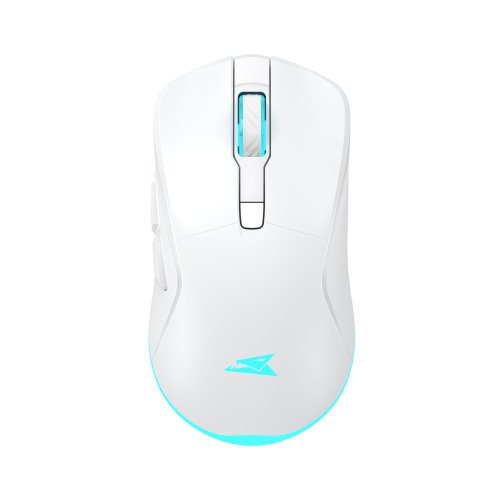 Baracuda BGM-122 Turtle White