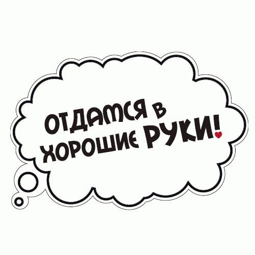 White Planet Отдамся в хорошие руки