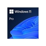 Microsoft MS ESD Win Pro 11 64-bit