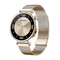 Huawei Watch GT4 41mm Aurora-B19T (Female) - Inter-Gold Stainless