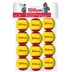 Wilson tenisa bumbas WILSON STARTER RED BALLS ( 12 gb. )
