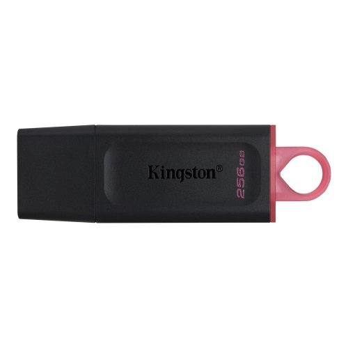 Kingston MEMORY DRIVE FLASH USB3.2/256GB DTX/256GB