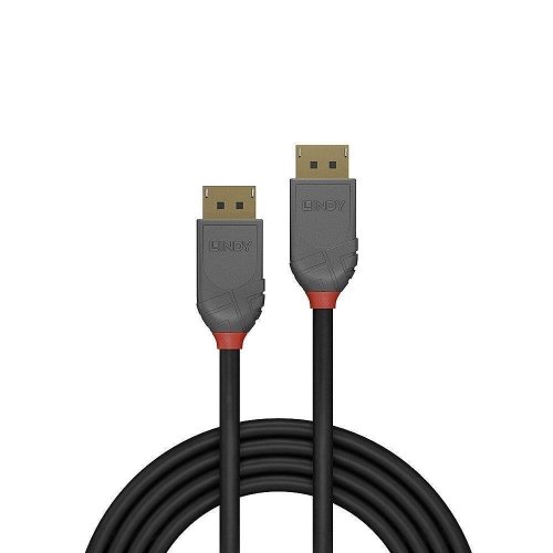 Lindy CABLE DISPLAY PORT 2M/ANTHRA 36482