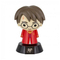 Harry Potter Quidditch Icon lampa