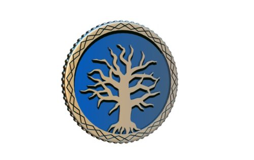 Cephalofair games Frosthaven Challenge Coin