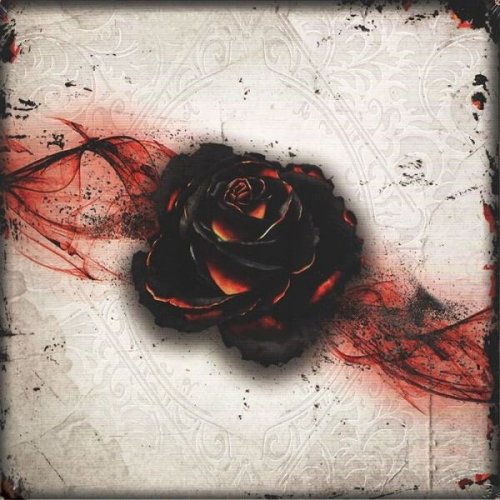 Ludus magnus studio Black Rose Wars
