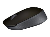 Logitech MOUSE USB OPTICAL WRL M170/GREY 910-004642