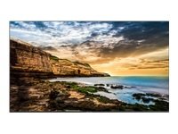Samsung DISPLAY LCD 55" QE55T/LH55QETELGCXEN