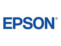 Epson 5LB UltraChrome DG Yellow T55B400