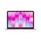 Apple MacBook Neo 13 A18 Pro 2026 QWERTY 8/256GB Rose MHFH4