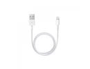 Apple Lightning to USB Cable 1m White