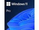 Software|MICROSOFT|Win 11 Pro 64Bit Eng Intl 1pk DSP OEI DVD|Win Pro|OEM|English|FQC-10528