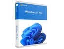 Microsoft SW RET WIN 11 PRO FPP 64B/ENG USB HAV-00163 MS