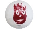 Voleyball WILSON volejbola bumba WILSON CAST AWAY