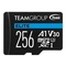 Team group TEAMGROUP Memory Card Micro SDXC 256GB