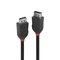 Lindy CABLE DISPLAY PORT 2M/BLACK 36492