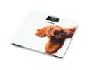 Zelmer ZBS1010 Crazy dog