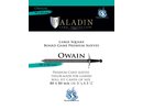 Paladin card protectors Paladin Sleeves - Premium Large Square 80x80mm (55 Pcs)