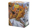 Dragon shield Standard Matte Dual Art Sleeves - The Millerax (100 Sleeves)