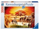 Ravensburger - Puzzle 3000 Savannah Masai