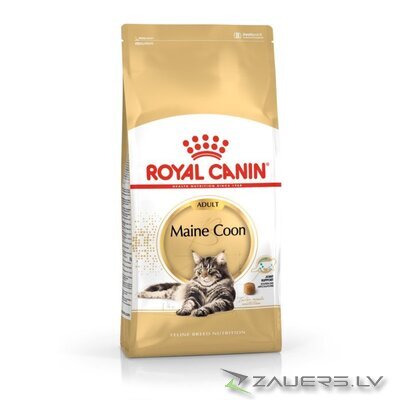 ROYAL CANIN FBN Maine Coon Adult dry cat food - 10kg