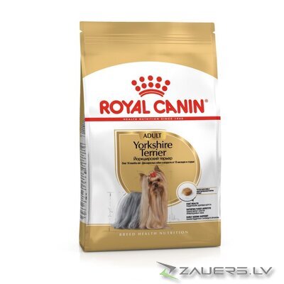 ROYAL CANIN BHN Yorkshire Terrier Adult - dry dog food - 3kg