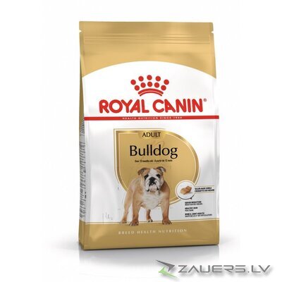 ROYAL CANIN Bulldog Adult - dry dog food - 12 kg