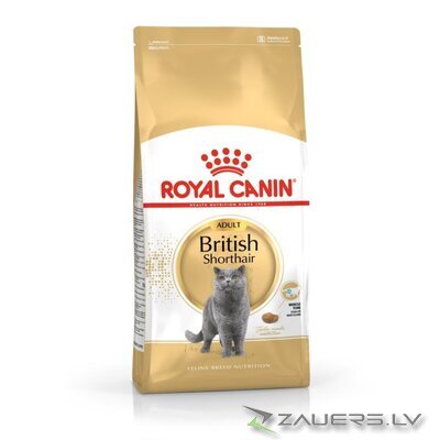 Royal Canin British Shorthair Adult cats dry food 4 kg