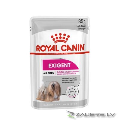 ROYAL CANIN Exigent Wet dog food Pâté 12x85 g