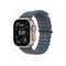 Apple Watch Ultra 3 GPS + Cellular 49mm Natural Titanium Case with Anchor Blue Ocean Band Apple