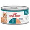 ROYAL CANIN Ageing 11+ Wet Cat Food Mousse - 85g