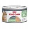 ROYAL CANIN Digestive Care AirLift Wet Cat Food - 85g