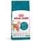 ROYAL CANIN Ageing 15+ - dry cat food - 4kg