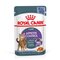 ROYAL CANIN FCN Appetite Control jelly - wet food for adult cats - 12x85g