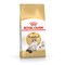 Royal Canin FBN Ragdoll Adult Dry Cat Food, 2 kg