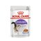 Royal Canin FHN Sterilised in sauce wet food for adult cats - 12x85g