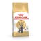 Royal Canin British Shorthair Adult cats dry food 4 kg