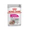 ROYAL CANIN Exigent Wet dog food Pâté 12x85 g