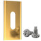 Extra digital Auto-Mover Blade, Titanium Coating 35x18x0.6 mm, 30pcs