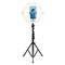 Agfaphoto AGFA ARL11XL Ring Light + Tripod