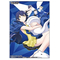 Bandai tcg Digimon Card Game - Official Sleeves 2026 - Hudie