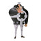 Bandai - Banpresto One Piece Dxf The Grandline Series Extra Bartholomew Kuma