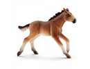 Schleich - Mustang Foal