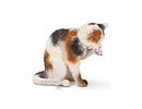 Schleich - Cat Grooming