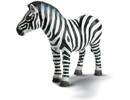 Schleich - Wild Pet Zebra Figurine