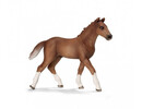 Schleich - Hanoverian Foal
