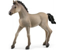Schleich - Horse Club Criollo Foal