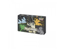 Pokémon Pokemon - TCG Dragon Return Advanced Gift Box Necrozma (Simplified Chinese)