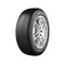 Bridgestone Weather Control A005 EVO 205/65R15 99V XL 3PMSF